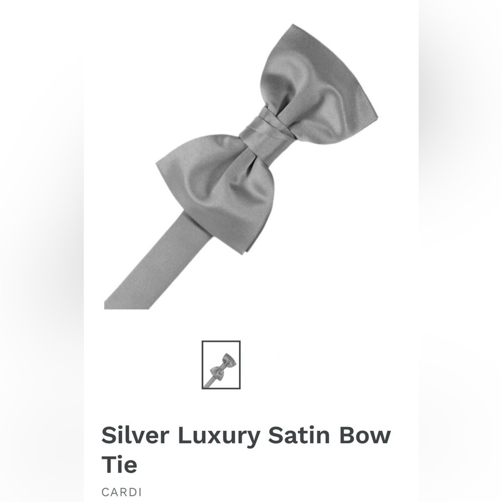 Silver Chrome Steel Wedding Prom Tuxedo Pre Tied clip on Bow tie bowtie